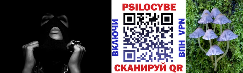 Галлюциногенные грибы Cubensis Сыктывкар