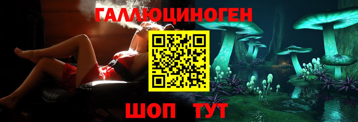 где купить наркоту  Вход с VPN  Сыктывкар  Галлюциногенные грибы Cubensis 